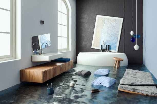 Best Professional water damage repair  in Hockessin, DE