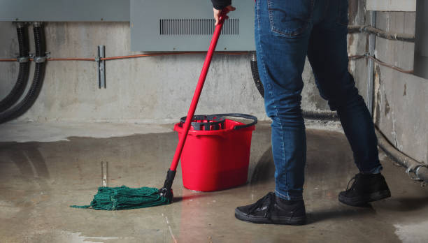 Best Flooded house restoration  in Hockessin, DE