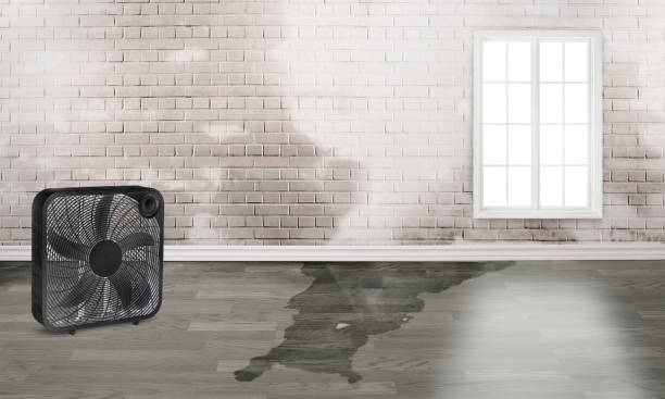 Best Basement water damage restoration  in Hockessin, DE