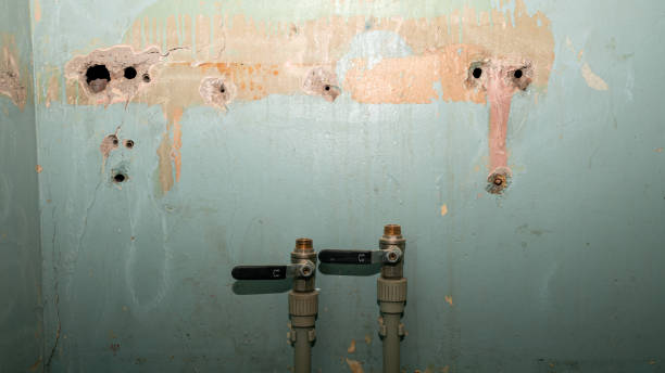 Best Flooded house restoration  in Hockessin, DE