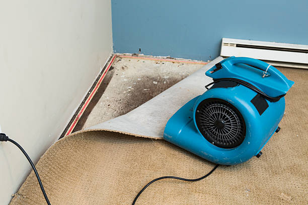 Best Flooded house restoration  in Hockessin, DE